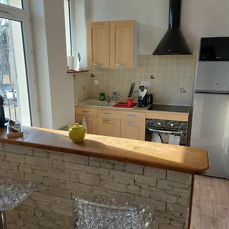 Apartment Proche Des Parcs Vichy